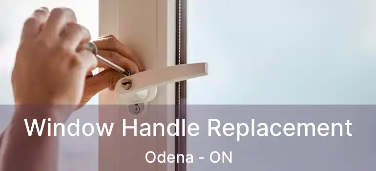 Window Handle Replacement Odena - ON