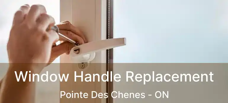 Window Handle Replacement Pointe Des Chenes - ON