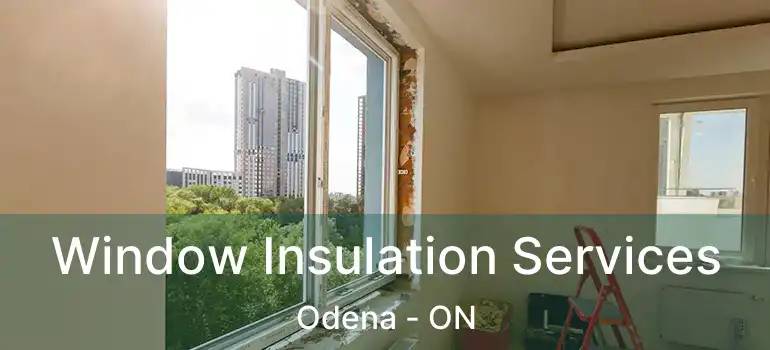 Window Insulation Services Odena - ON