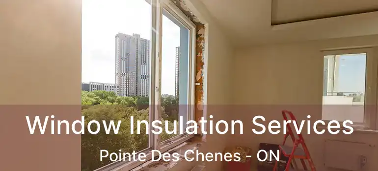 Window Insulation Services Pointe Des Chenes - ON