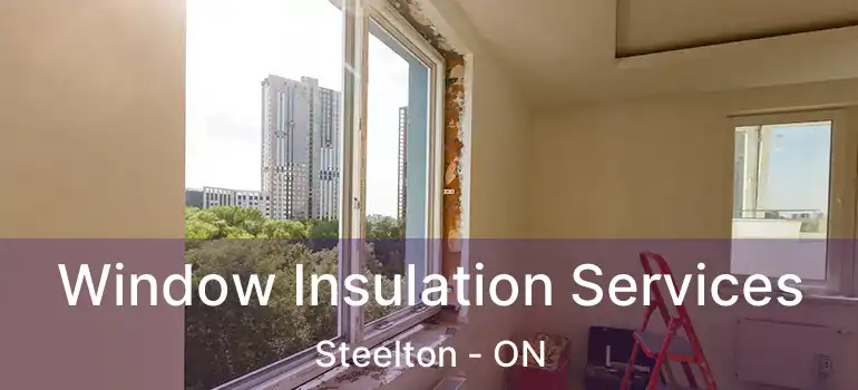 Window Insulation Services Steelton - ON