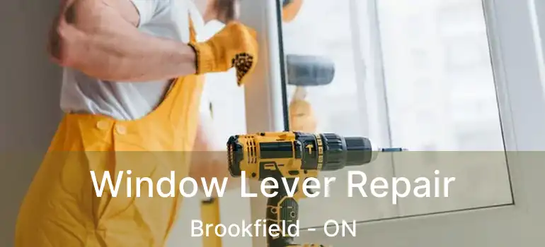 Window Lever Repair Brookfield - ON