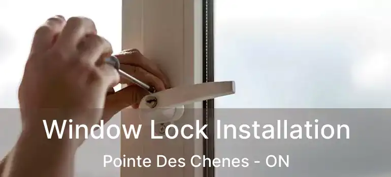 Window Lock Installation Pointe Des Chenes - ON