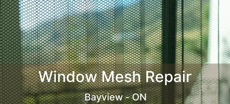  Window Mesh Repair Bayview - ON