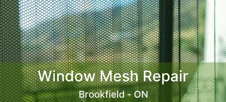  Window Mesh Repair Brookfield - ON