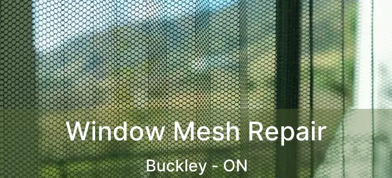  Window Mesh Repair Buckley - ON