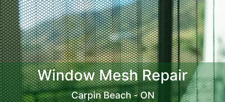  Window Mesh Repair Carpin Beach - ON