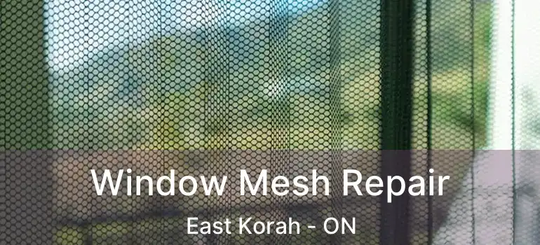  Window Mesh Repair East Korah - ON