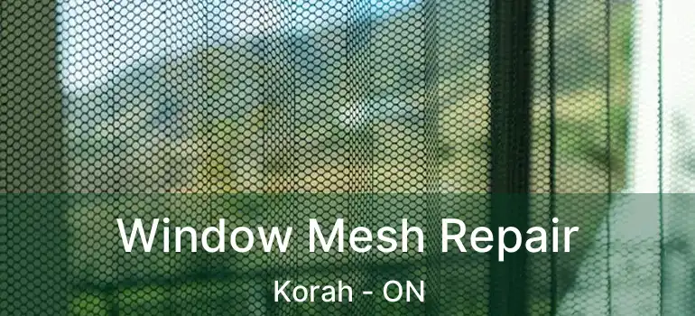  Window Mesh Repair Korah - ON