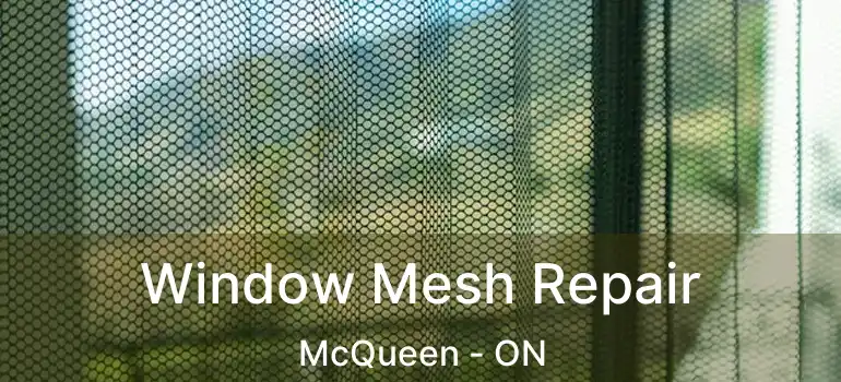  Window Mesh Repair McQueen - ON