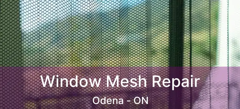  Window Mesh Repair Odena - ON