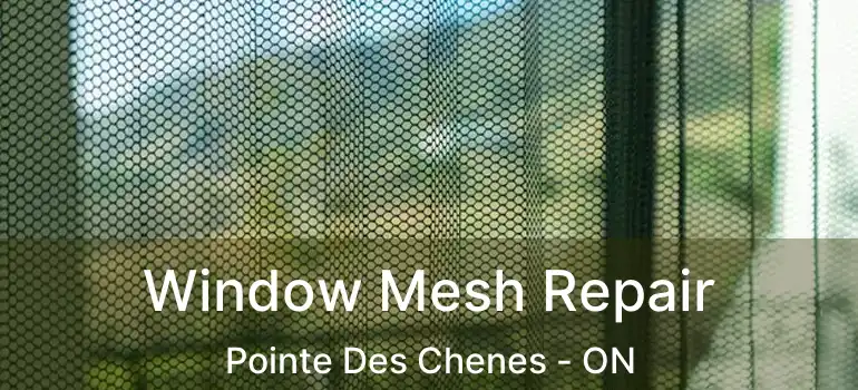 Window Mesh Repair Pointe Des Chenes - ON