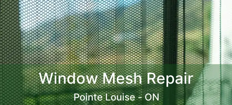  Window Mesh Repair Pointe Louise - ON
