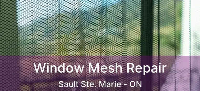 Window Mesh Repair Sault Ste. Marie - ON