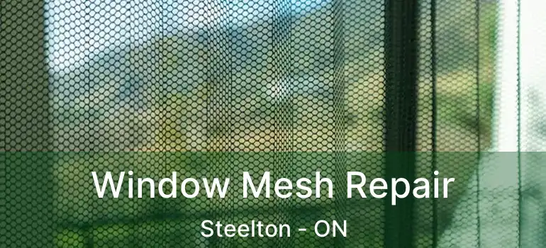 Window Mesh Repair Steelton - ON