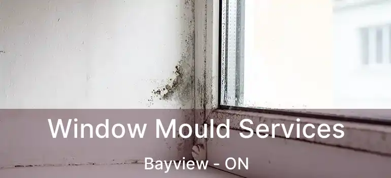 Window Mould Services Bayview - ON