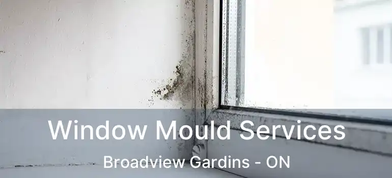 Window Mould Services Broadview Gardins - ON