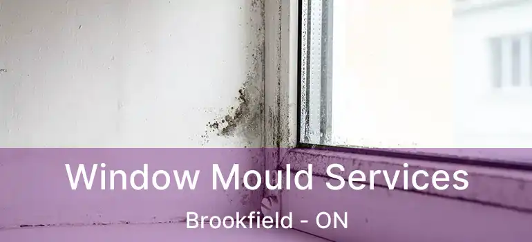 Window Mould Services Brookfield - ON