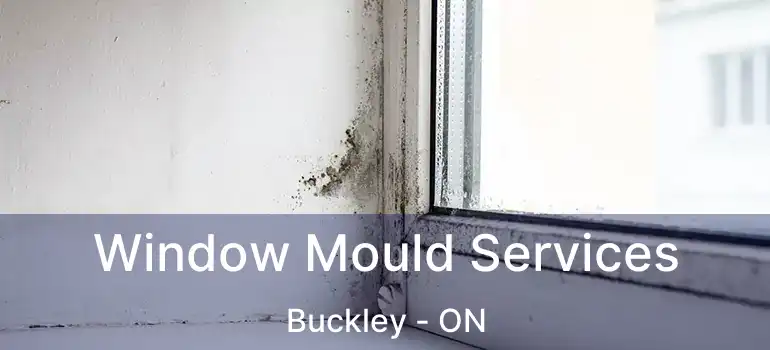  Window Mould Services Buckley - ON