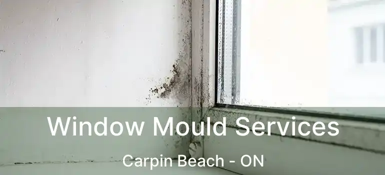 Window Mould Services Carpin Beach - ON