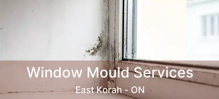  Window Mould Services East Korah - ON