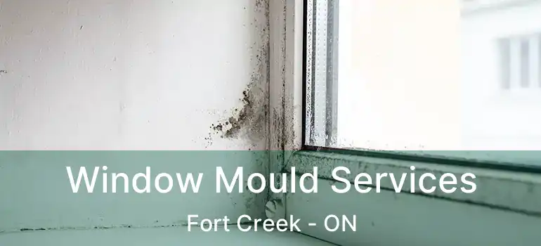 Window Mould Services Fort Creek - ON