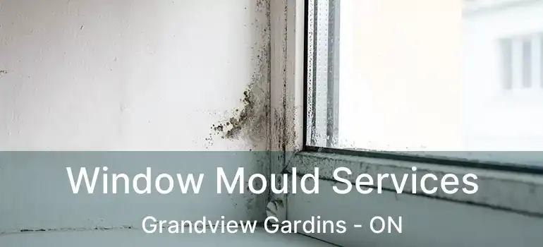  Window Mould Services Grandview Gardins - ON
