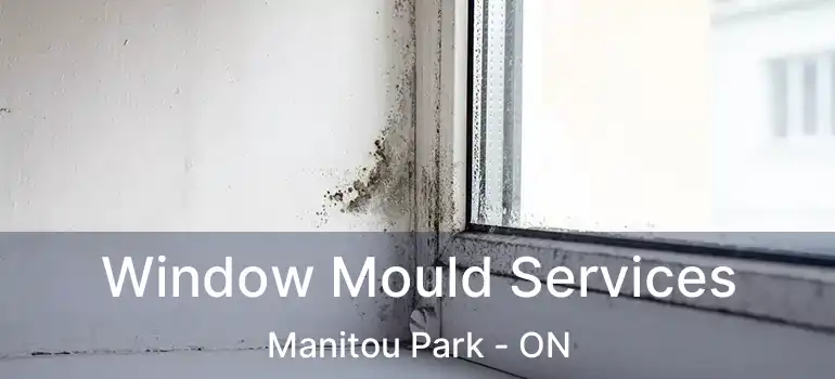  Window Mould Services Manitou Park - ON