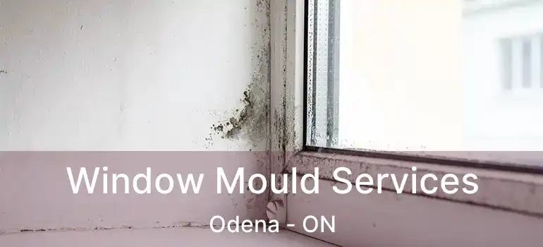Window Mould Services Odena - ON