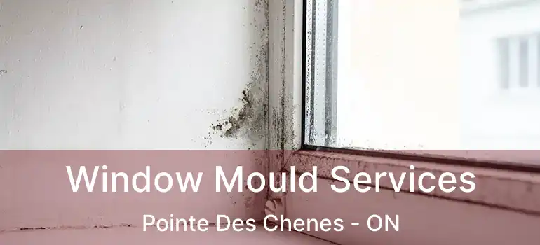 Window Mould Services Pointe Des Chenes - ON