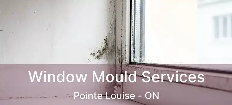 Window Mould Services Pointe Louise - ON
