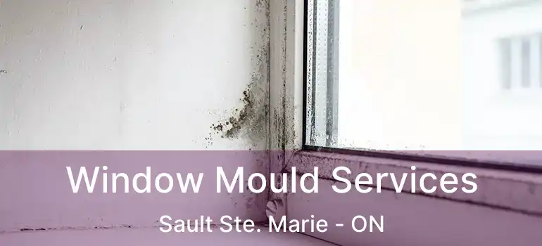 Window Mould Services Sault Ste. Marie - ON