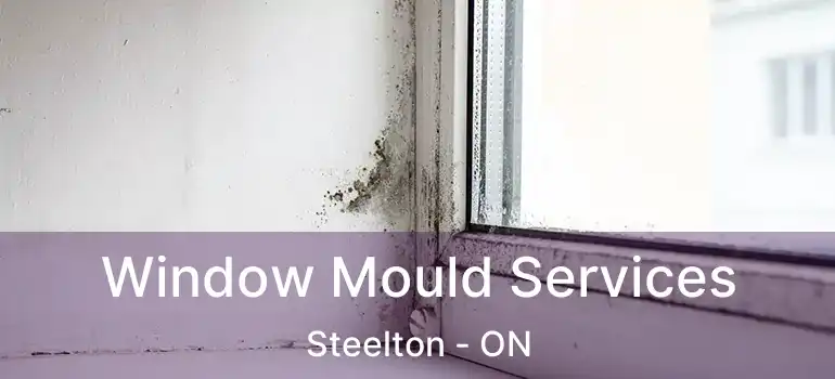  Window Mould Services Steelton - ON