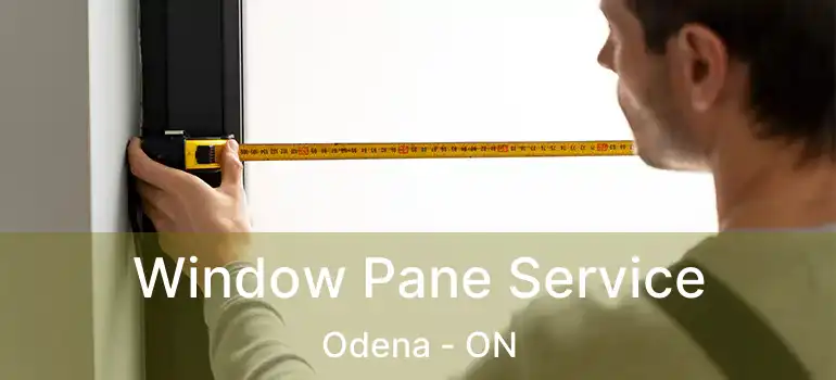 Window Pane Service Odena - ON