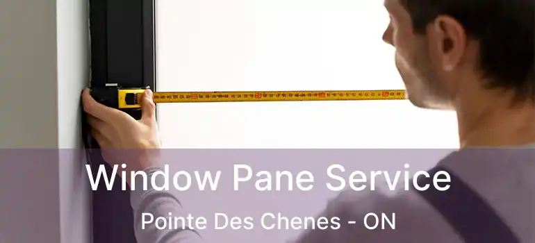 Window Pane Service Pointe Des Chenes - ON