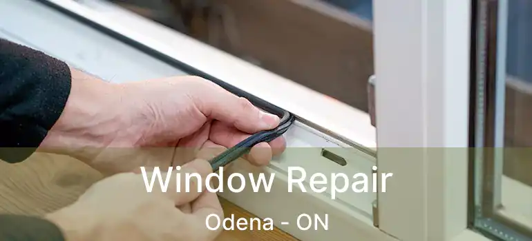 Window Repair Odena - ON