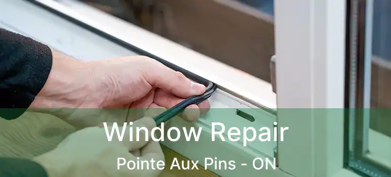 Window Repair Pointe Aux Pins - ON