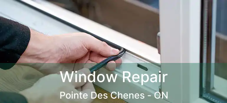 Window Repair Pointe Des Chenes - ON