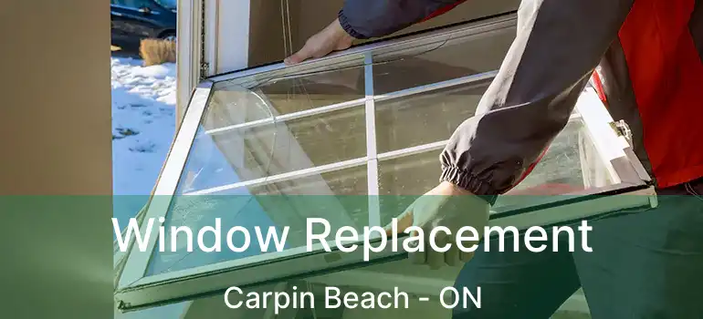 Window Replacement Carpin Beach - ON