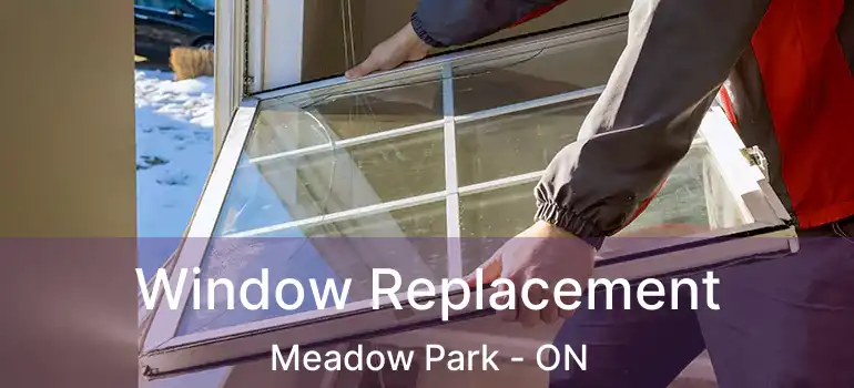 Window Replacement Meadow Park - ON