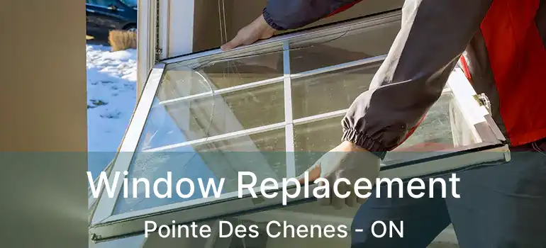 Window Replacement Pointe Des Chenes - ON
