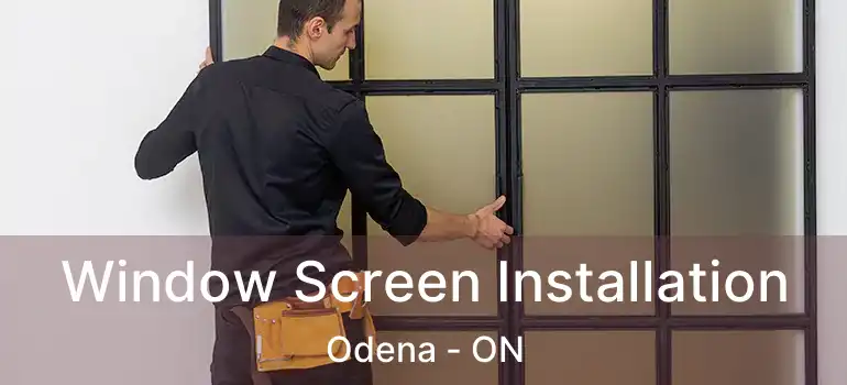 Window Screen Installation Odena - ON