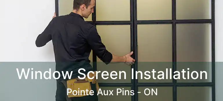 Window Screen Installation Pointe Aux Pins - ON