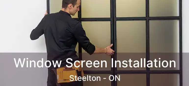 Window Screen Installation Steelton - ON