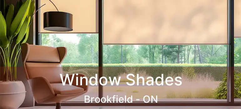 Window Shades Brookfield - ON