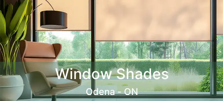 Window Shades Odena - ON