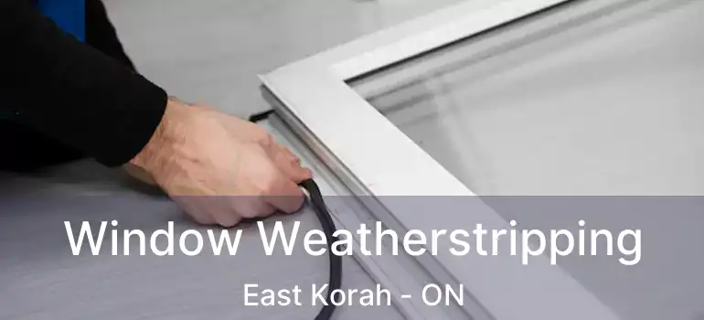 Window Weatherstripping East Korah - ON