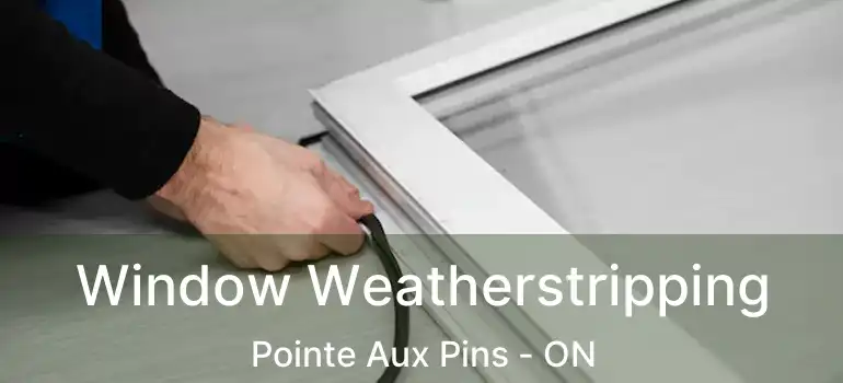 Window Weatherstripping Pointe Aux Pins - ON