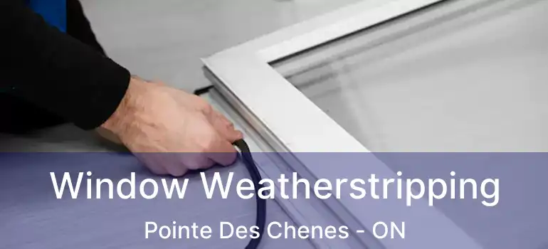 Window Weatherstripping Pointe Des Chenes - ON