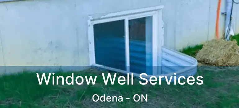 Window Well Services Odena - ON
